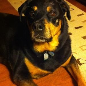 Meet your Posher, Marlene